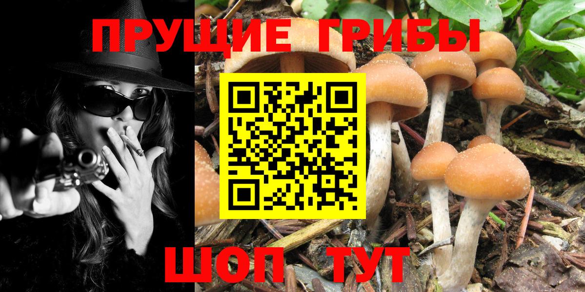 Галлюциногенные грибы Magic Shrooms  Вход с VPN  цена   Псилоцибиновые грибы MAGIC MUSHROOMS  Троицк 